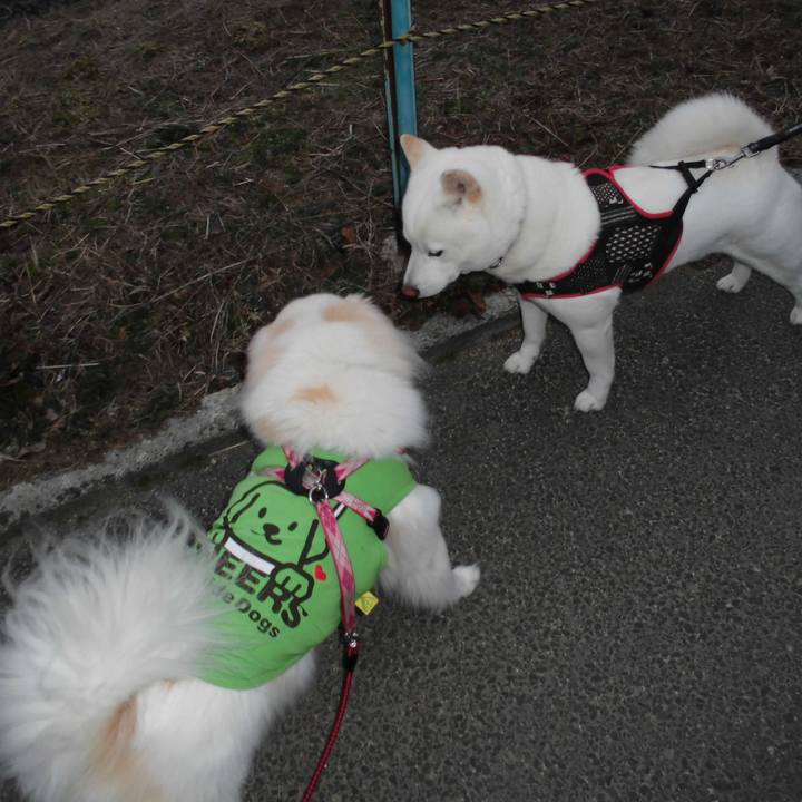 7ce629c8 fa58 404e b74d 3e7070eaae59