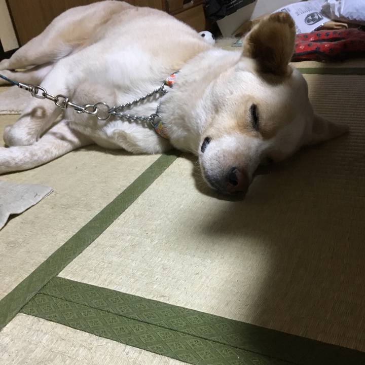 7ce654a8 b1a8 4ac6 b959 218c5022fc8e