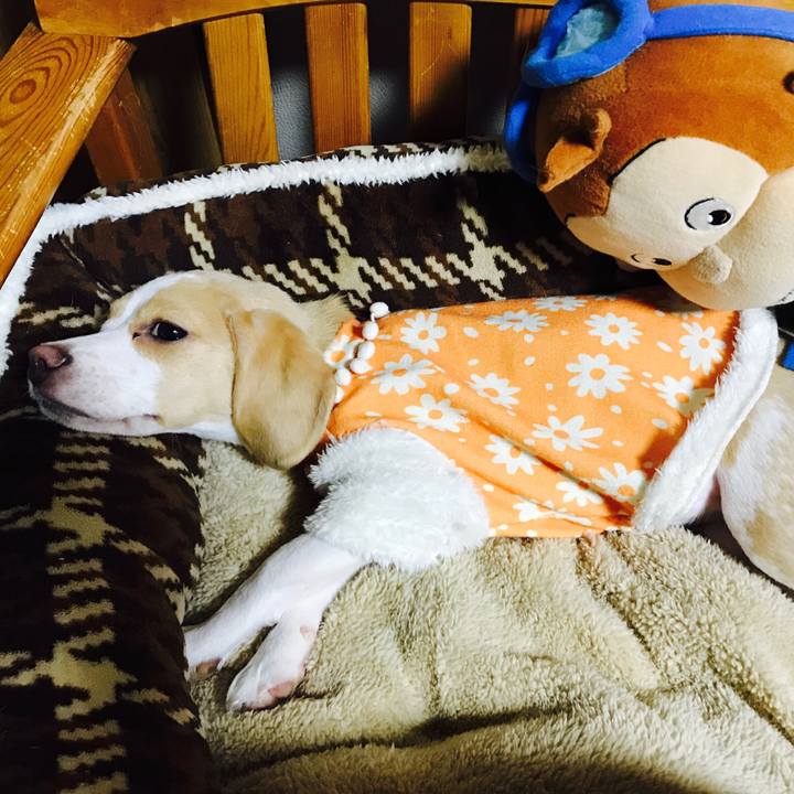 7ce72fe9 8fef 46ea b2a9 1241ed44c4ef