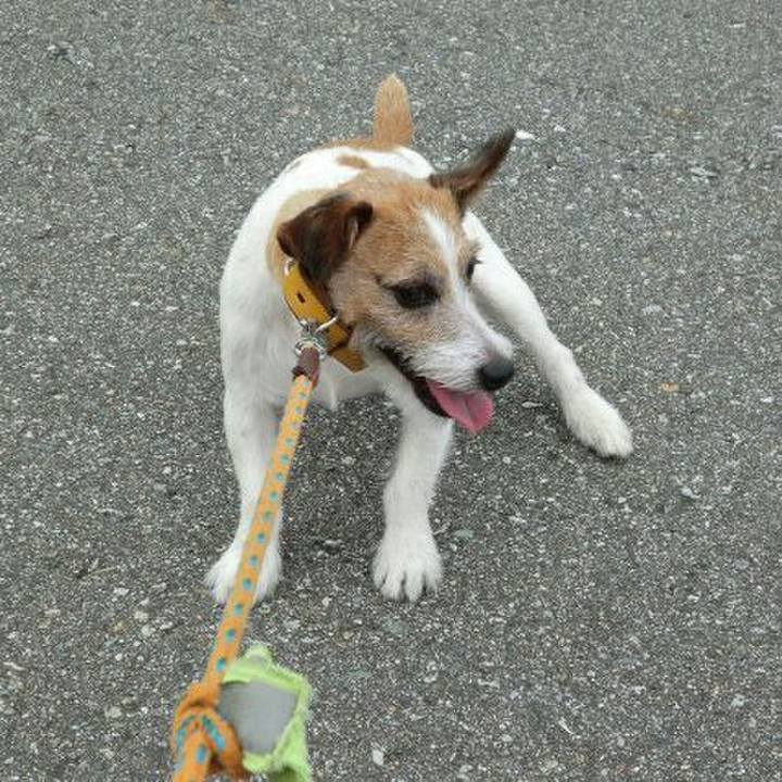 7ce77ba3 9ff5 4dd8 a90d 29fa28f0a84d