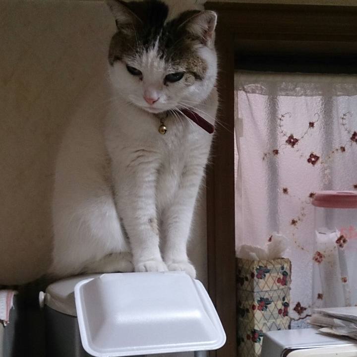 7ce93109 af7c 413e b042 32f07b619b39