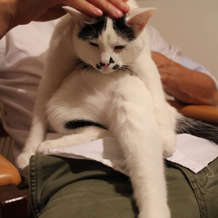 7ce96044 bb2a 4c3c 836b 5849a39a41f0