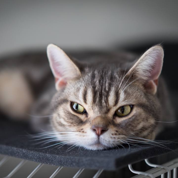 7ce9c3b2 7b0a 4709 9113 bccdbe6d9bec