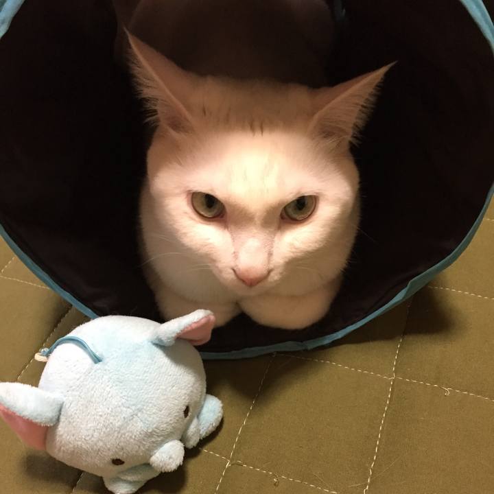 7cea188a dfc1 4810 a7aa 03953e05b391