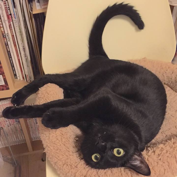 7ceb0d71 77a1 4598 a08c 3fa25d47ee16