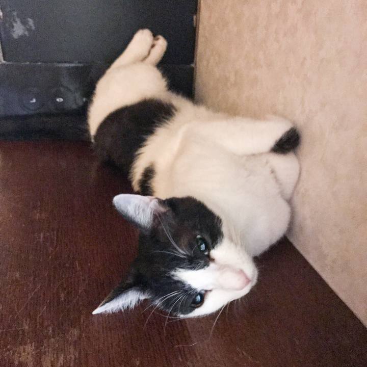 7cebf6f8 80b7 40c4 9512 eed0453da349