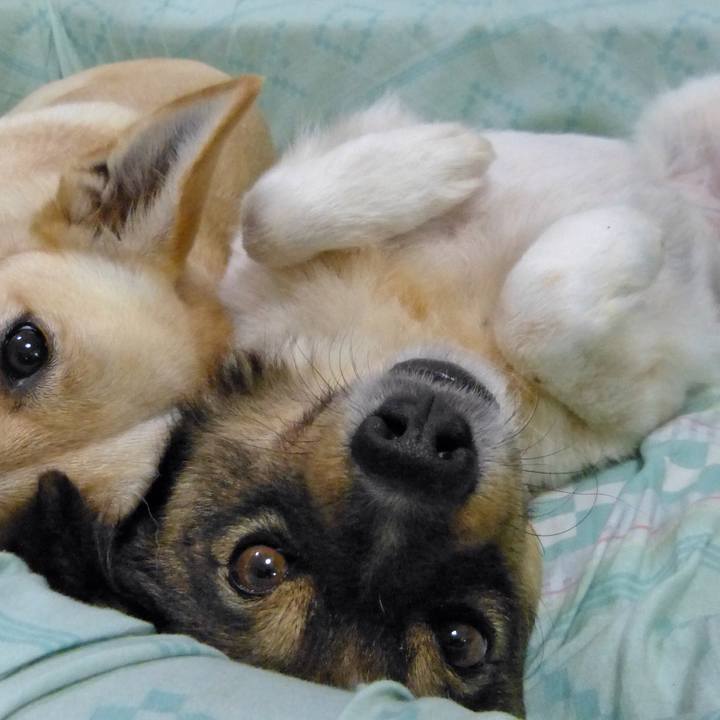 7cec0590 29c9 45e8 8012 9733cce77a5a