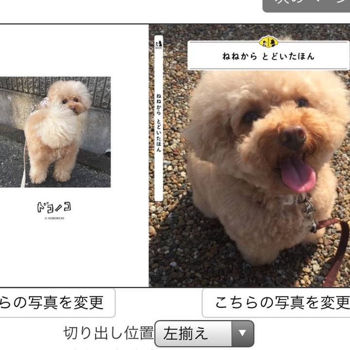 7cec1b83 1394 44d2 98a0 37319e7a9045