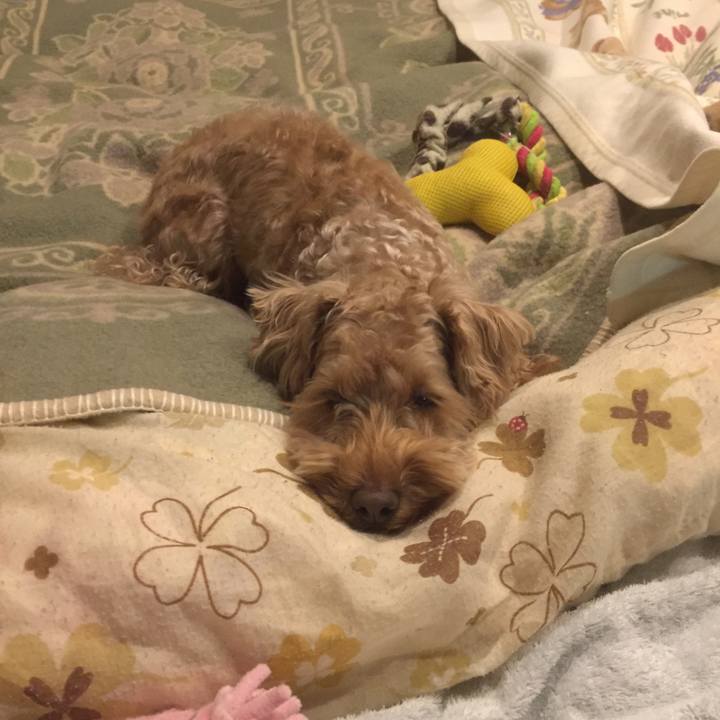 7cec34a8 a280 4920 9e38 70c7173fb61d