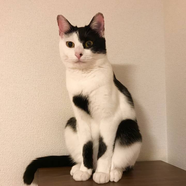 7cec740c 2821 4a9d 83e0 b2fd5552fe61