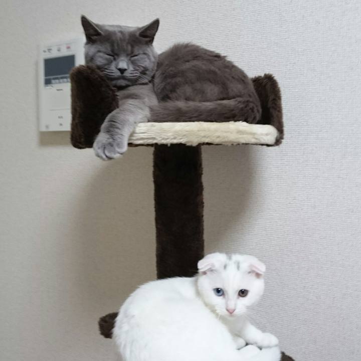 7cec9b60 3578 47d3 9ba5 747a8ad0dbfc