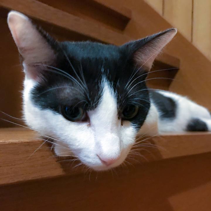 7ceca499 0e2f 4cb1 9ef7 87e7220cd1a4