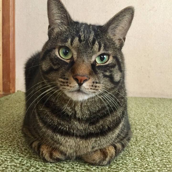 7ceea8a8 f94a 448e b3a2 9bcf2f65ba02