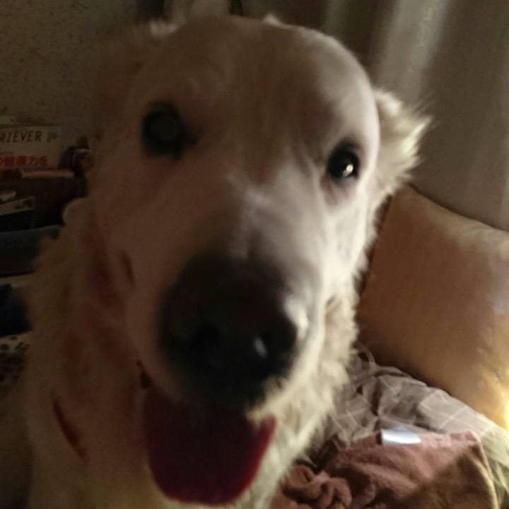 7cf002bb feea 4f6e 961e f4ca83e067ca