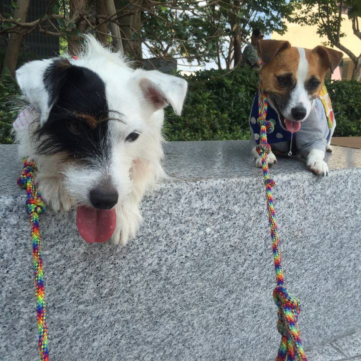 7cf040a0 f9ed 4ea9 9cfa 1211c51ae6ff