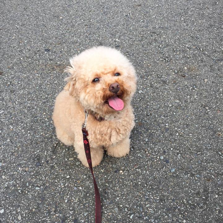 7cf0f0af d6b2 4fec a2fc 628c34a7b51d