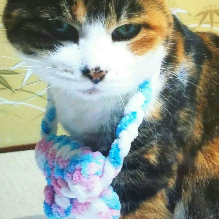 7cf11c5d 5cd2 444f 8c4b c07d69f9f641