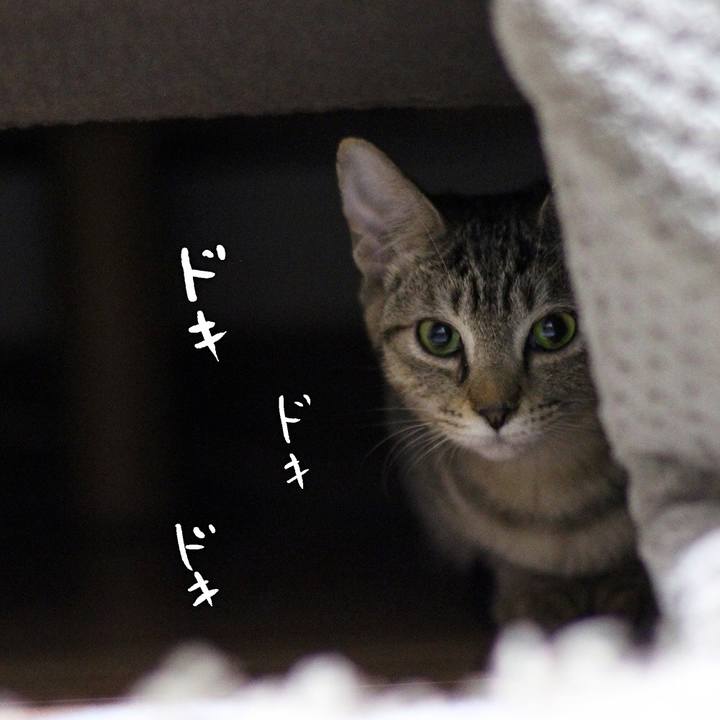 7cf1bb14 f5cb 4894 acbe 72616c65c665