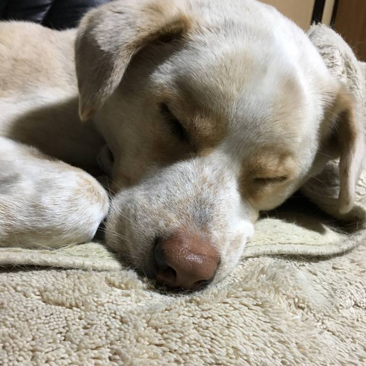 7cf200a9 0378 4f68 93c4 747999ea761f