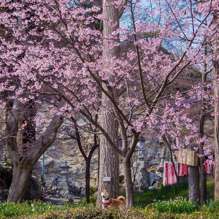 7cf22328 b8fa 4fe3 a9fb af5ac4a9598c