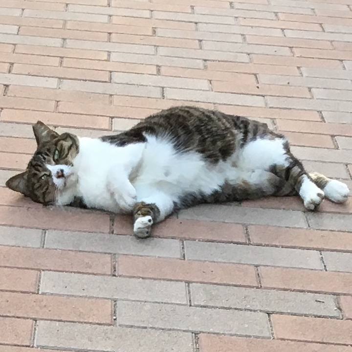 7cf23c46 0812 456b 8a45 bc2d5ac0595a