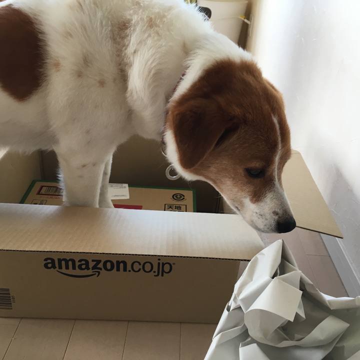 7cf27c14 abe4 43a0 814a 4bcd7a020f45