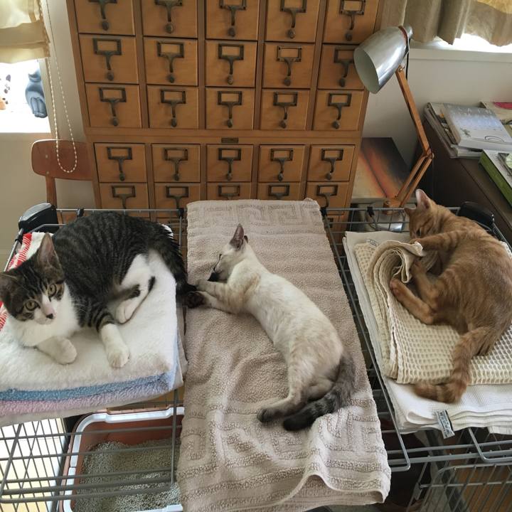 7cf29b4f 0b40 407a b134 5ca136cfd8a2