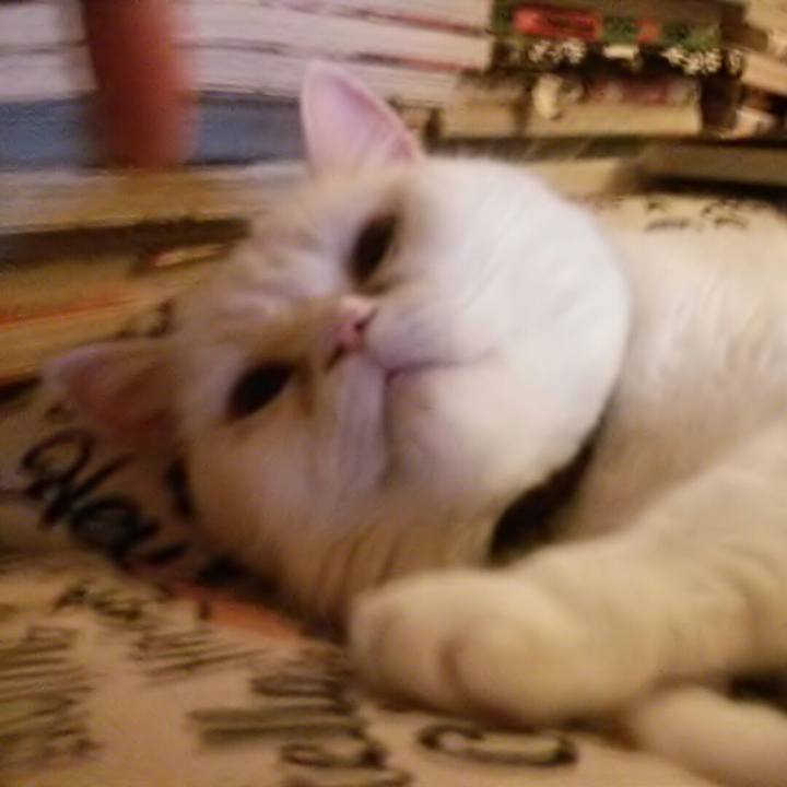 7cf38b9f 7a99 4806 91c0 cecaf75fa79f