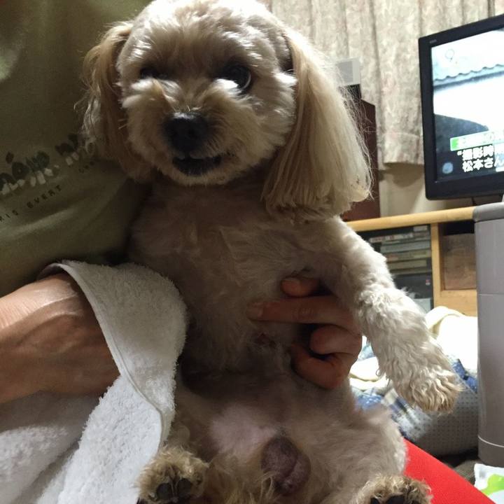 7cf3a856 0c62 4e05 9c13 290f1338b2c6