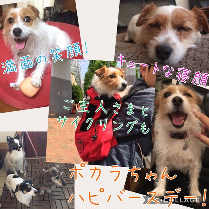 7cf3b934 e273 49f6 a88a 2e3e5f65be2a