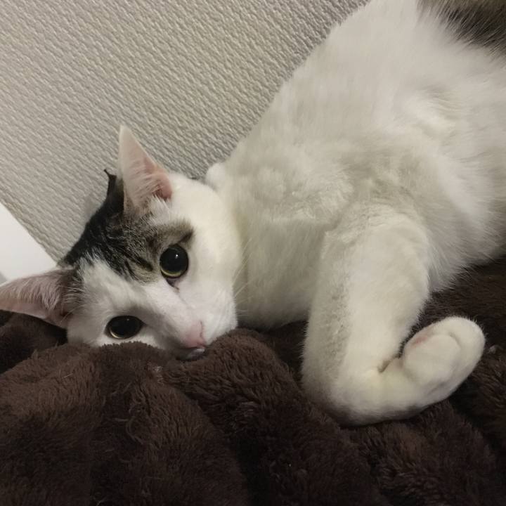 7cf3fe6d 0598 4f50 97ad f5cfc2a3a9f3