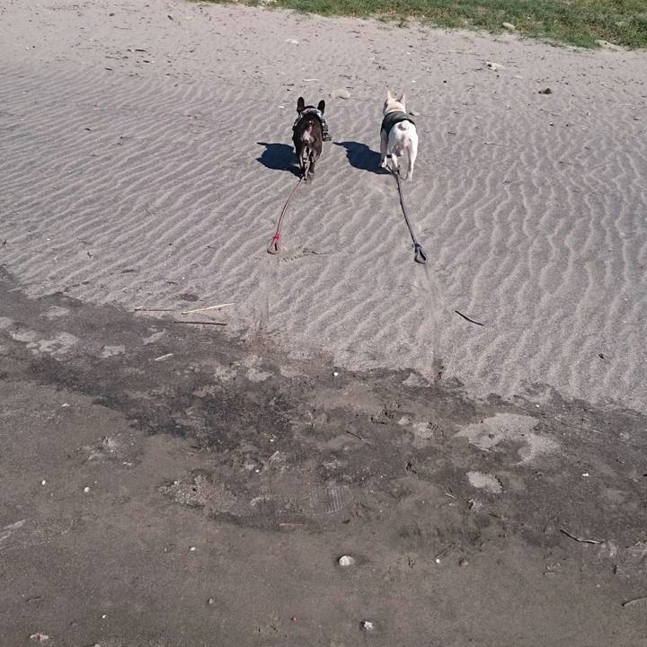 7cf42c8b 696a 4663 8bed bbf048ea47de