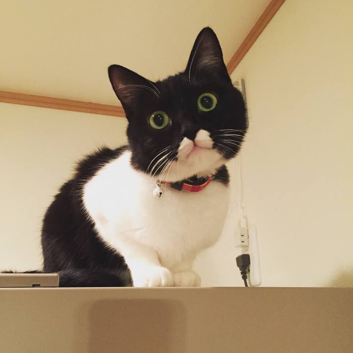 7cf45231 13ec 4653 9366 be0fdcc772d3