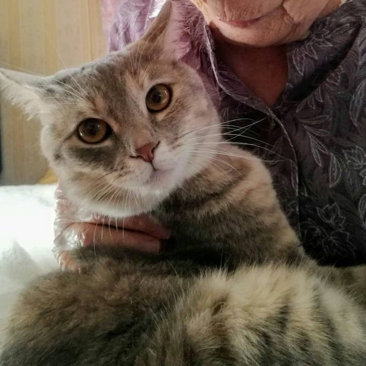 7cf49348 d1dc 4f0d 9e88 264e981bdefc