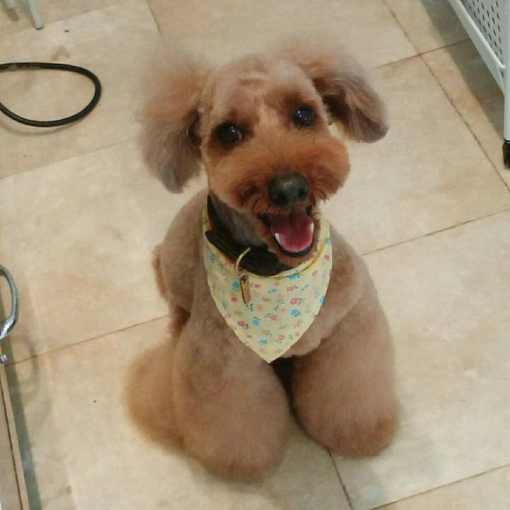 7cf4b100 1da7 46f7 bc67 7849e03b2c32