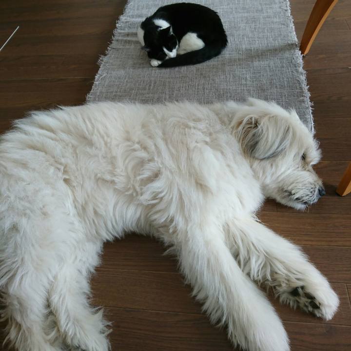 7cf4bbc7 2396 4612 972d f15b2af48c20