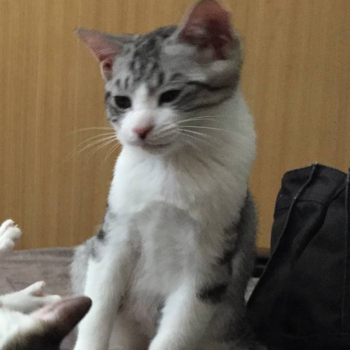 7cf4e363 d880 4e00 ab3a 2ad7505d1bb4