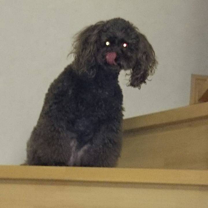 7cf4e61b 5543 4868 af09 f843059cf4d4