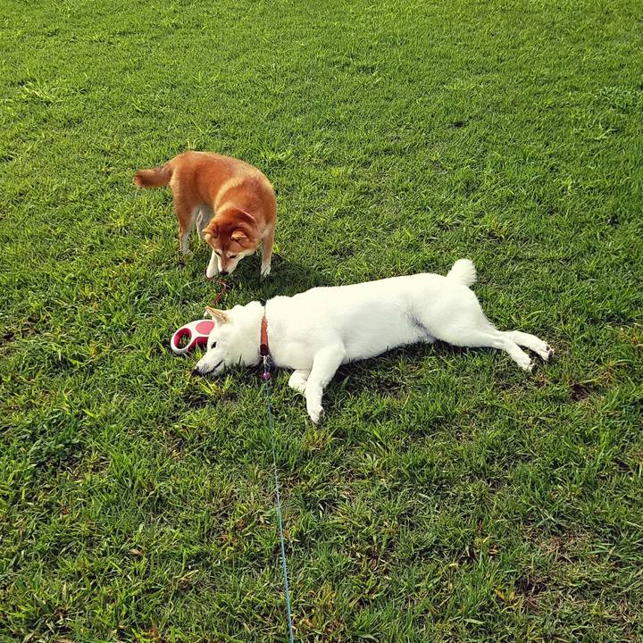 7cf4fc59 d842 487d abb9 9ab5d90c0c18