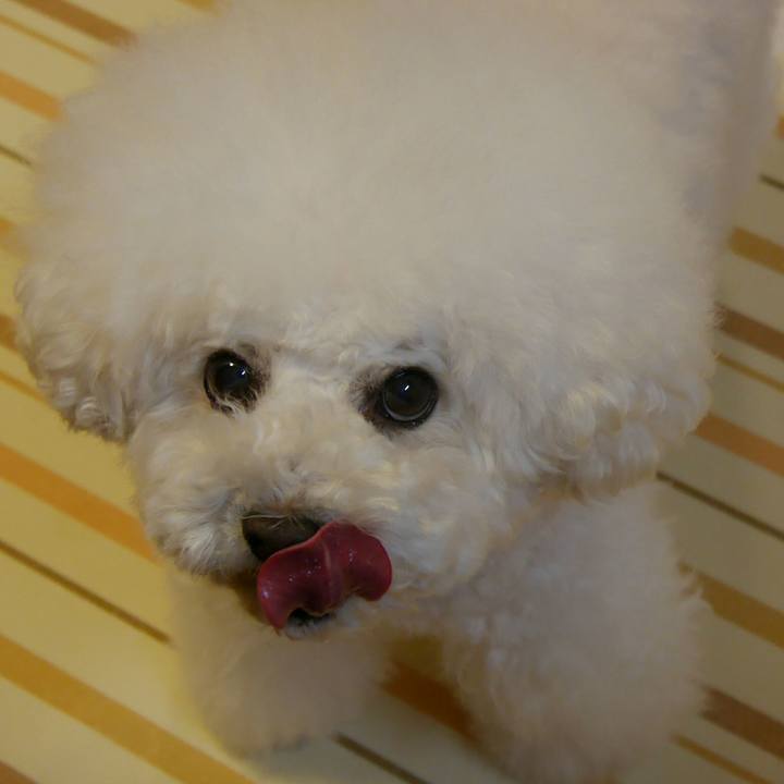 7cf522b5 266b 40da 87f4 e2525ed8cd61