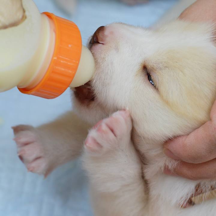 7cf59216 2487 454a aa07 f661243924e0