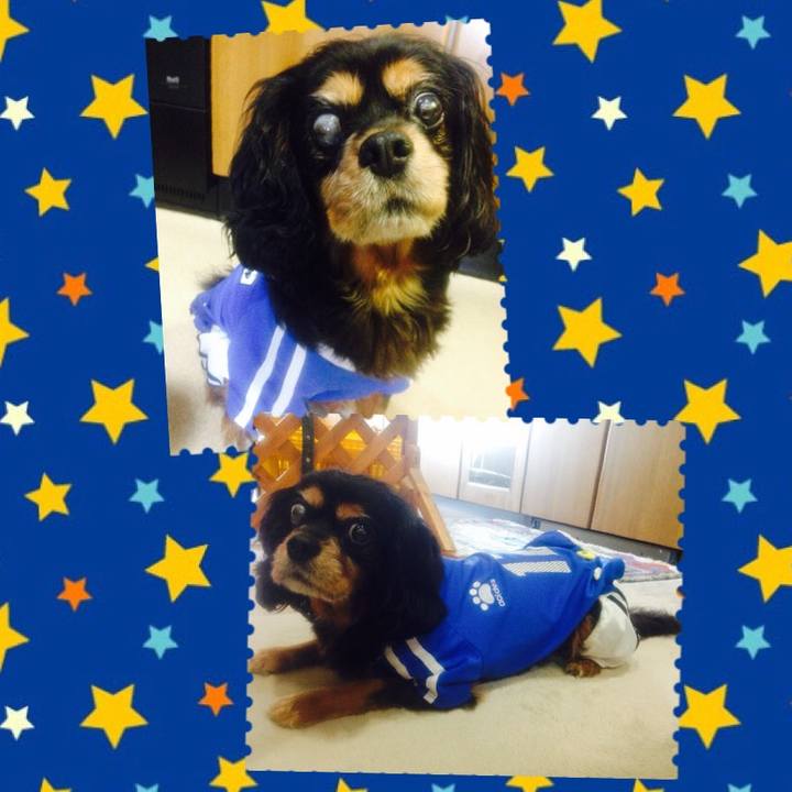 7cf5cdd0 3f82 4c4b 8ea9 29e4c2957721