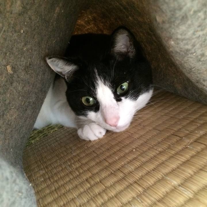 7cf68a70 6667 49f5 9b4a 8ffa025f650c