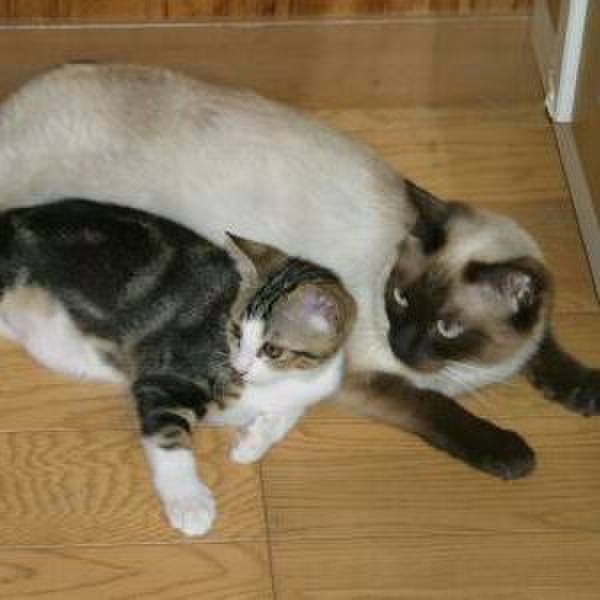 7cf7cbbc 627e 4557 8518 6eb5abe373a6