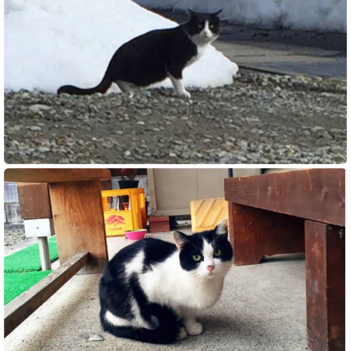 7cf85baa d189 415a a934 1159af29c6d4