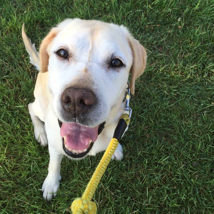 7cf91e7c 591b 4bf7 8d19 88d2113c4e0c