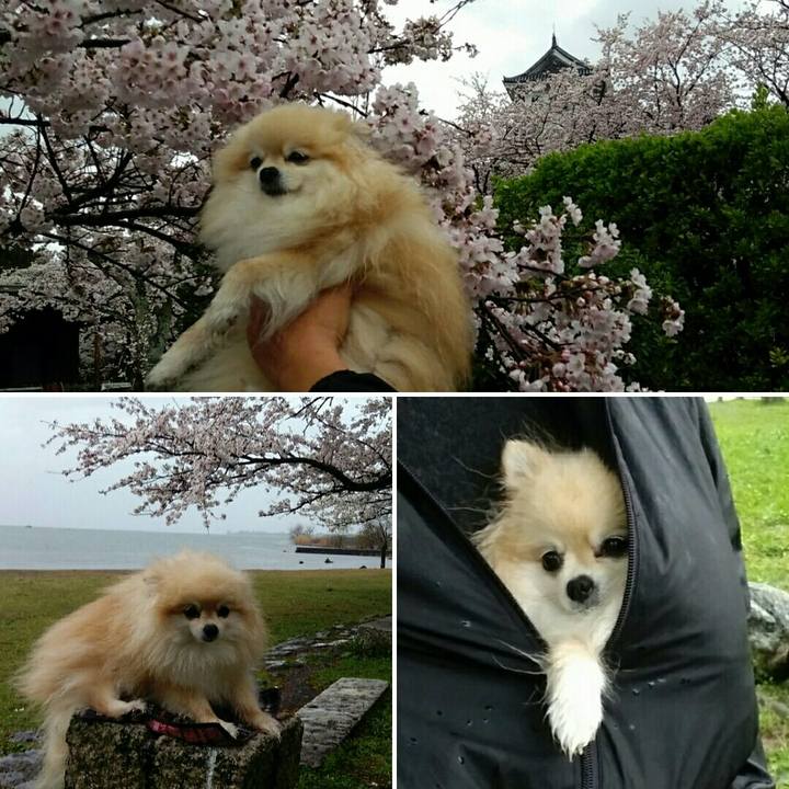 7cf9b196 d7cd 4557 9303 28708fe85dc8