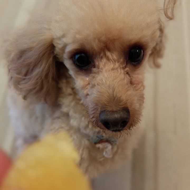 7cf9d1c1 df61 4bf4 b001 8d91fa9ce0a3