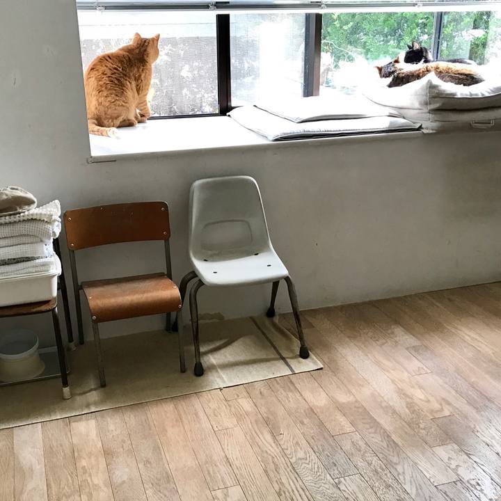 7cfa1322 f7e7 47e7 9538 58f8e8da3a1b