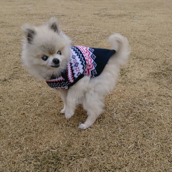 7cfa140f 18da 4473 9afb 8a1265925d9e